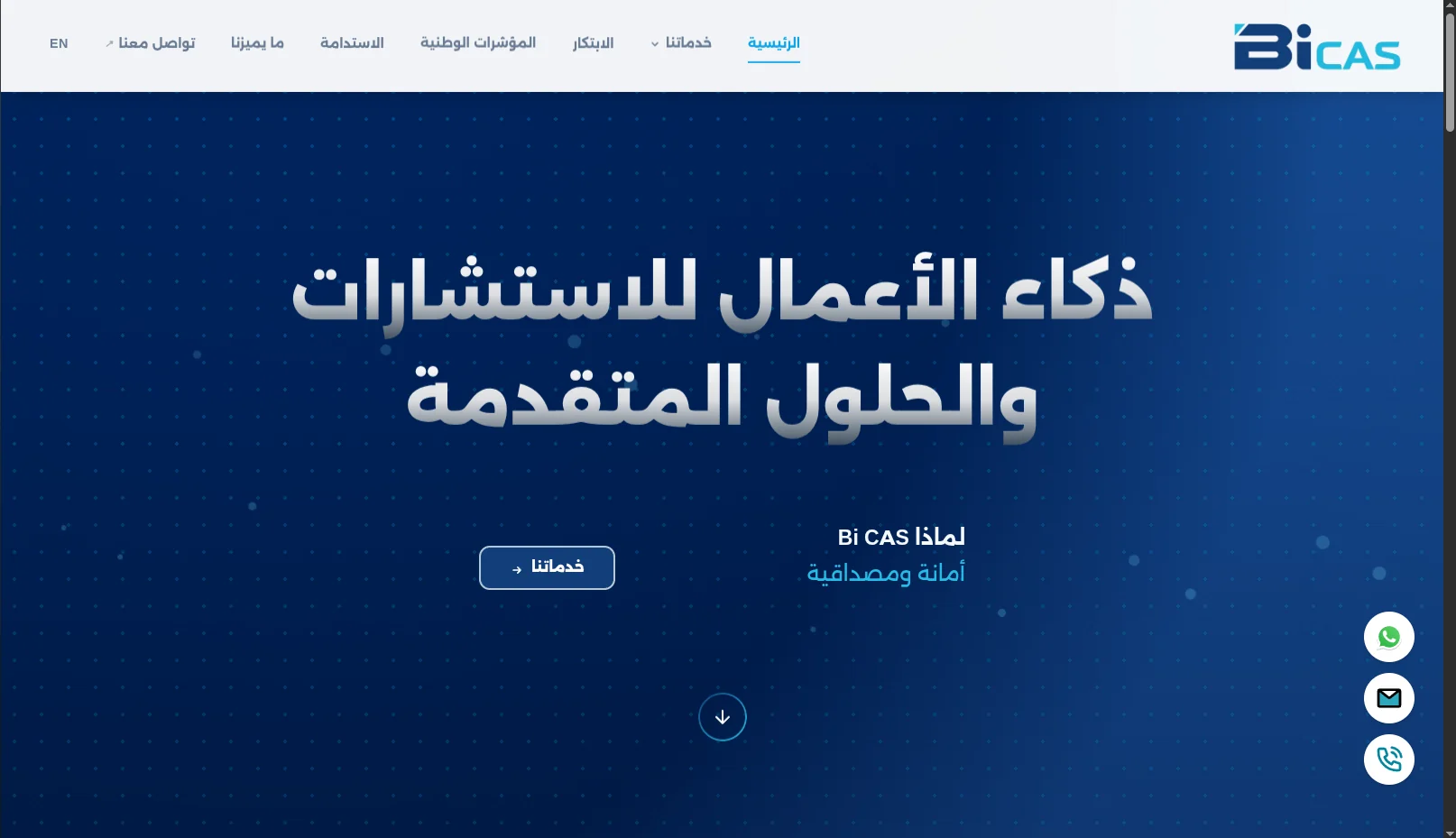 BI-CAS Consulting
